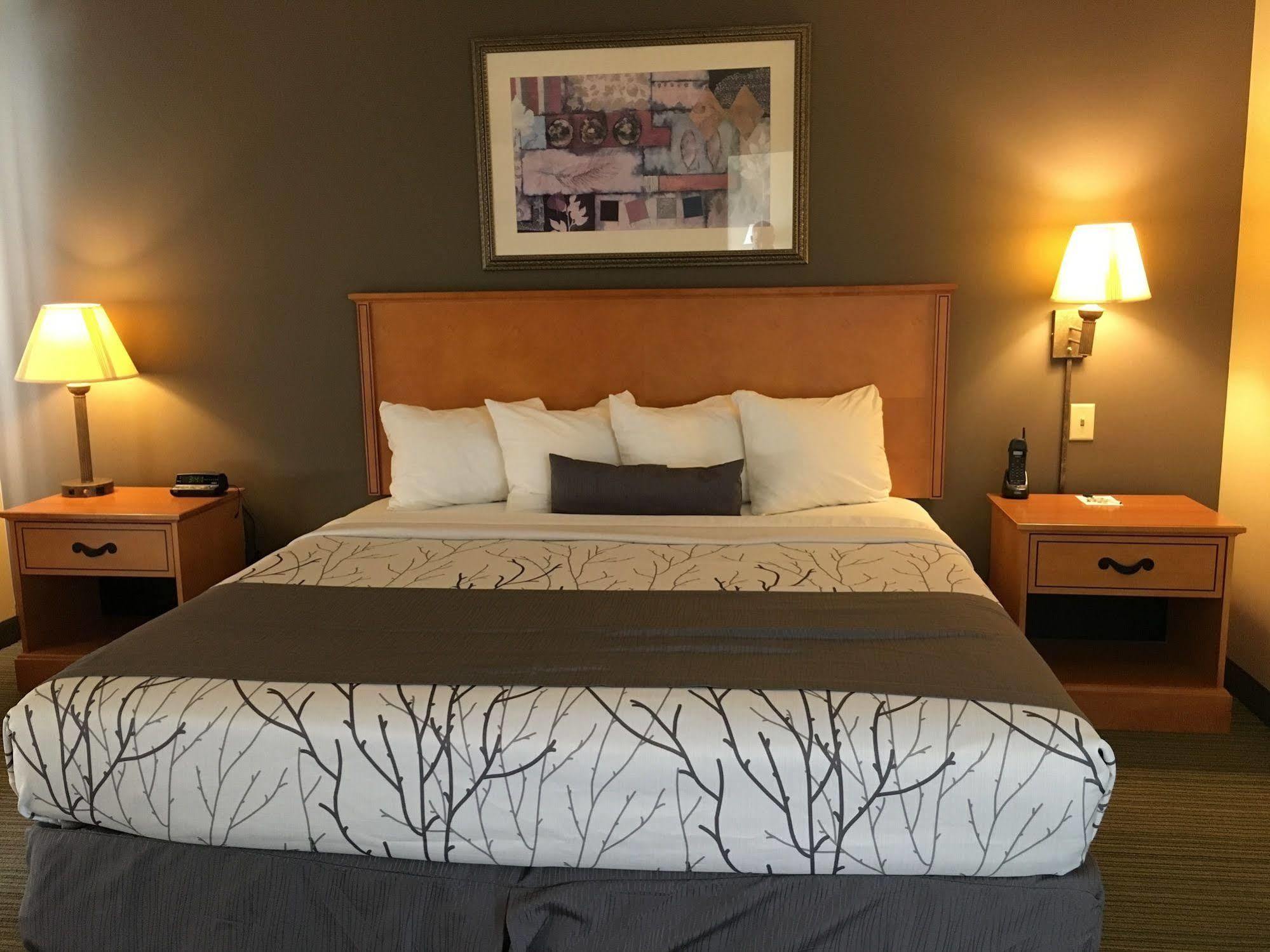 Wingate By Wyndham Coon Rapids Hotel Екстериор снимка