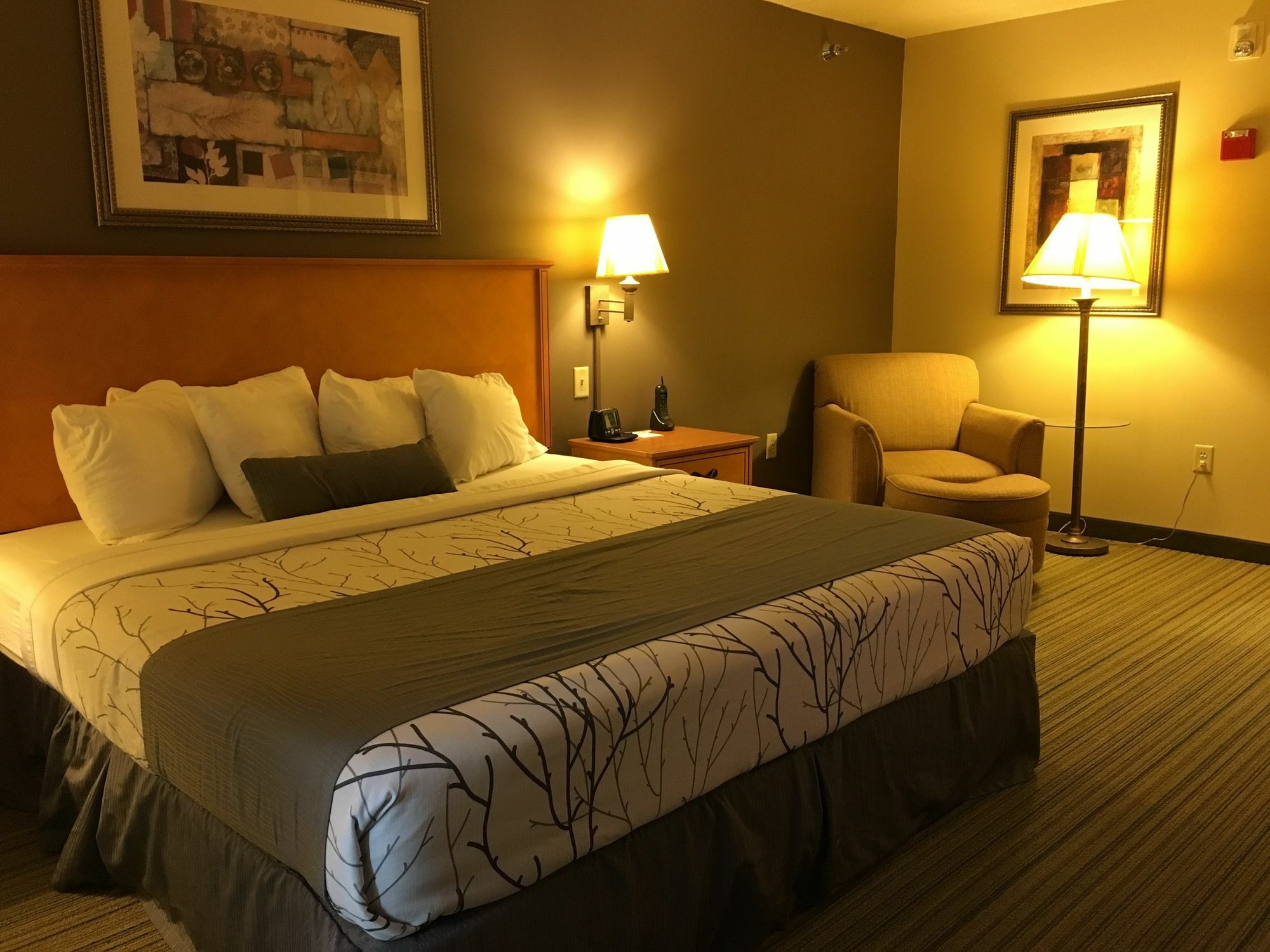Wingate By Wyndham Coon Rapids Hotel Екстериор снимка
